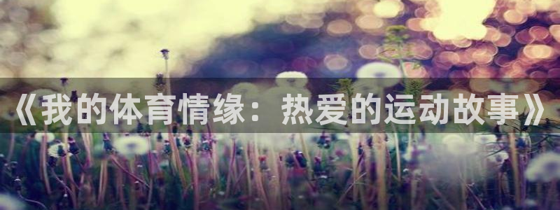 新球体育可以买球吗：《我的体育情缘：热爱的运动故事》