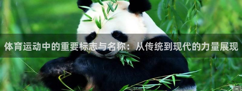 新球体育是正规平台吗：体育运动中的重要标志与名称：从传统到现代的力量展现