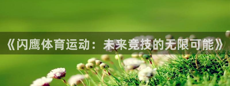 新球体育官网：《闪鹰体育运动：未来竞技的无限可能》
