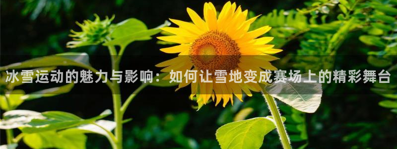 新球体育德乙：冰雪运动的魅力与影响：如何让雪地变成赛场上的精彩舞台