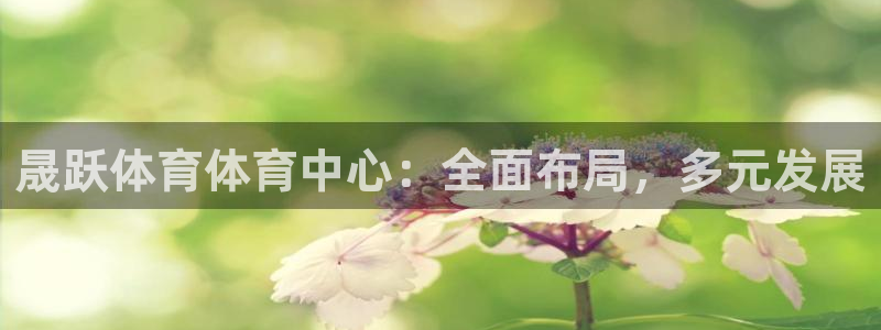 新球体育赛事：晟跃体育体育中心：全面布局，多元发展