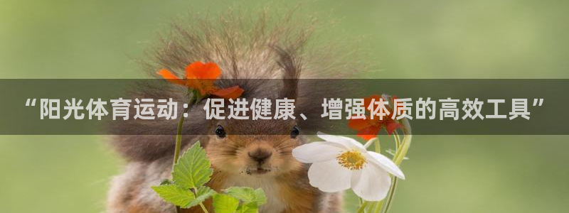 新球体育没有指数了：“阳光体育运动：促进健康、增强体质的高效工具”