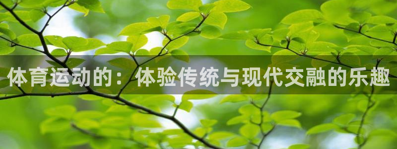 新球体育韩职：体育运动的：体验传统与现代交融的乐趣